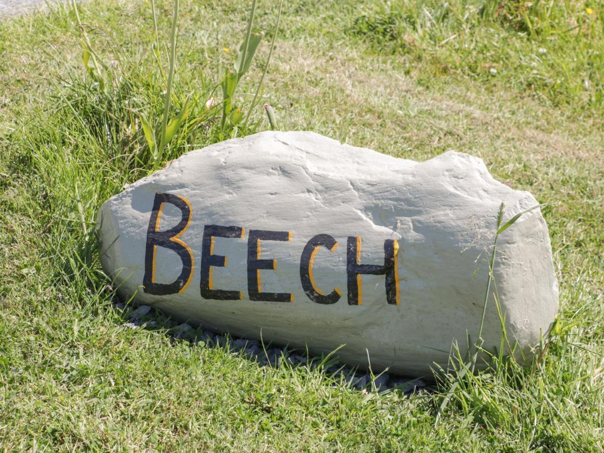 Beech Villa Ulverston Exteriör bild