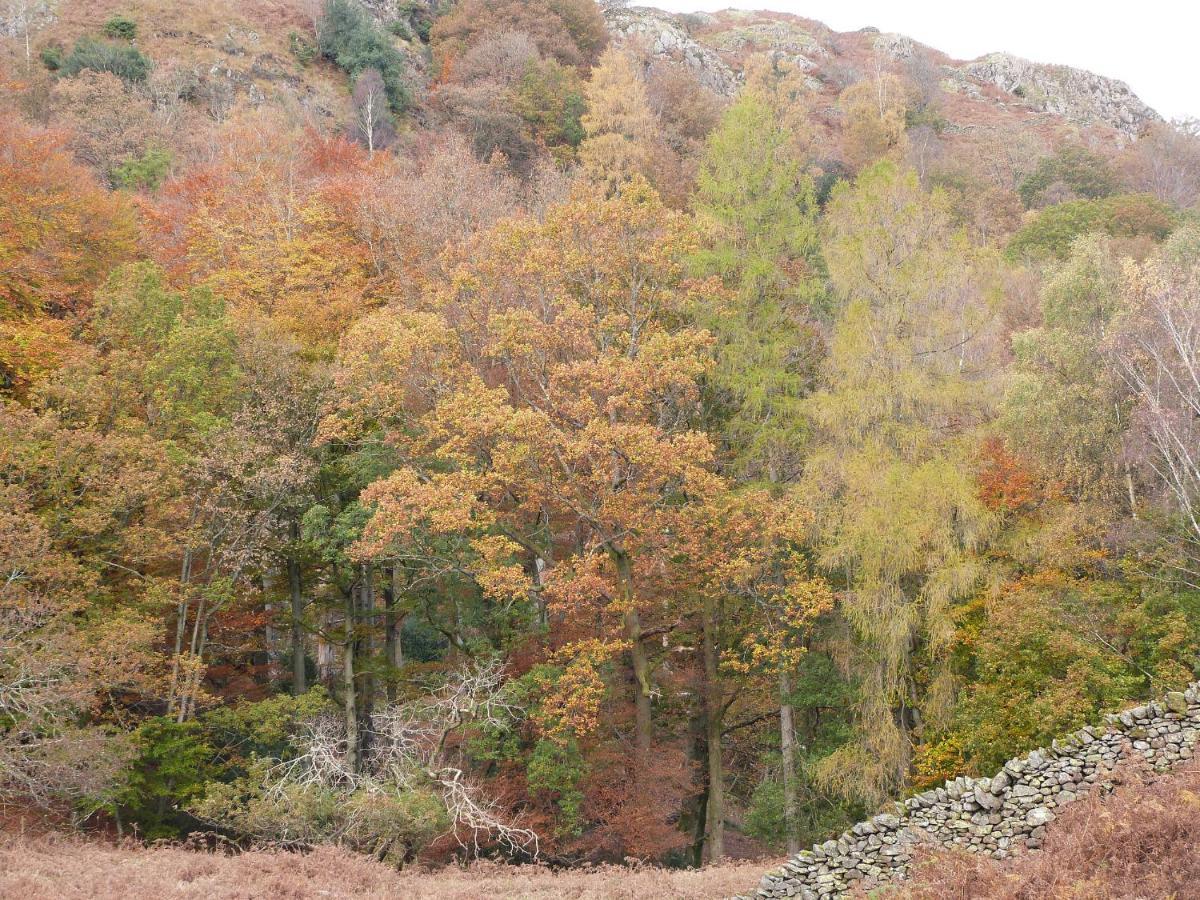 Beech Villa Ulverston Exteriör bild
