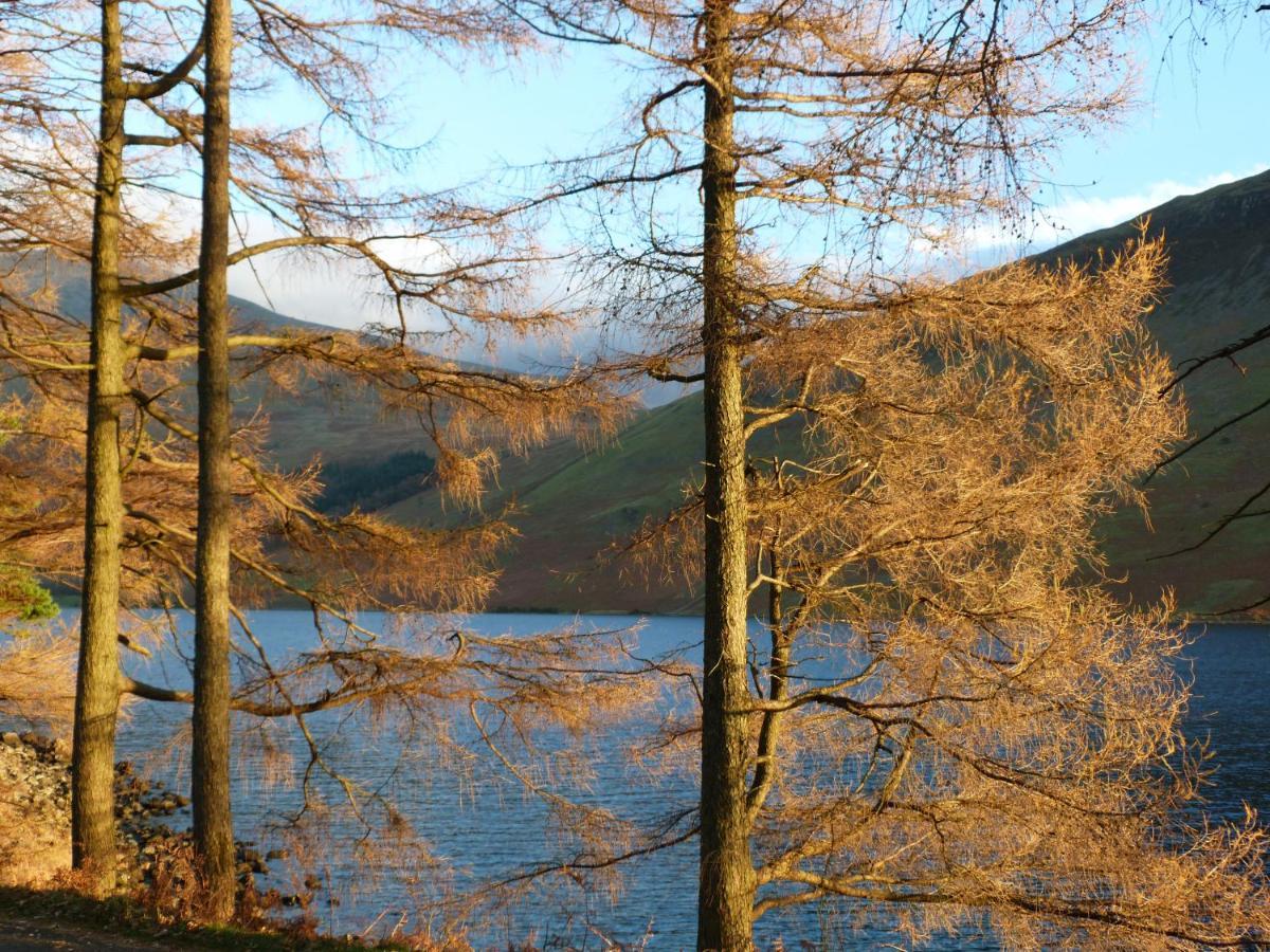Beech Villa Ulverston Exteriör bild